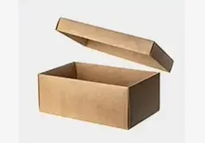 Kraft paper box